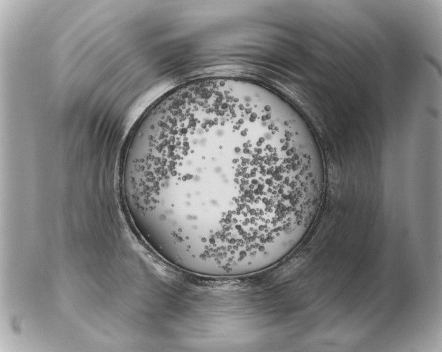 X0000102501426200808291702