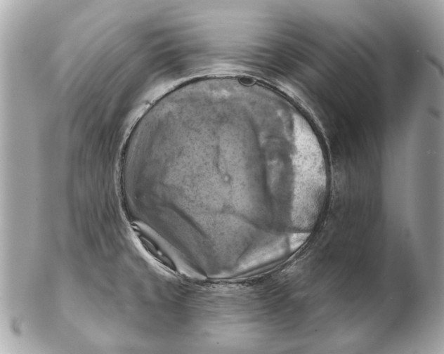 X0000102501429200808291702