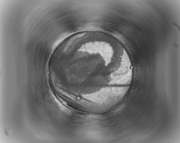 X0000102501430200808291702