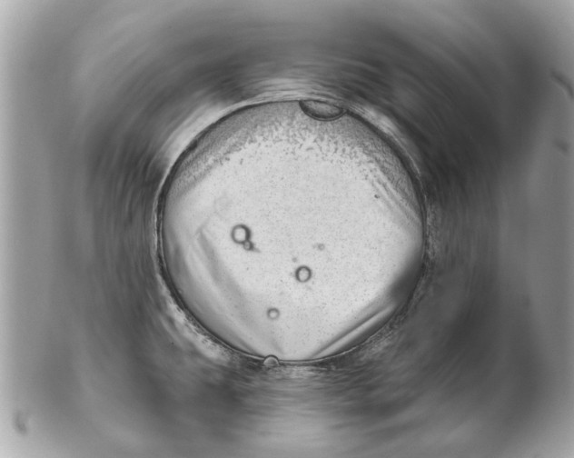 X0000102501431200808291702