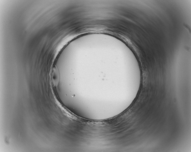 X0000102501432200808291702