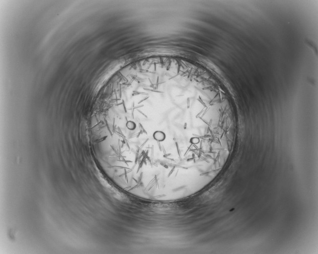 X0000102501433200808291702