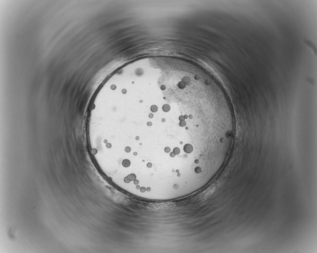 X0000102501434200808291702