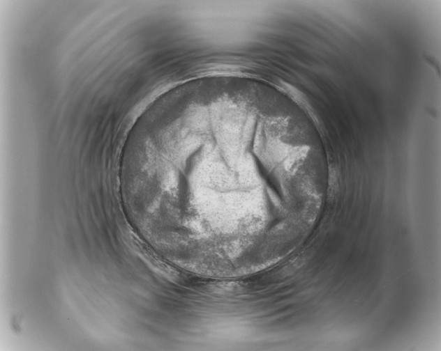 X0000102501435200808291702