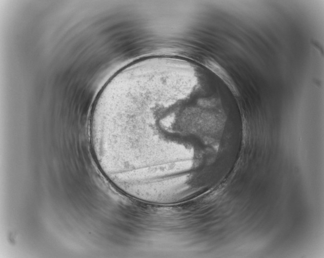 X0000102501436200808291702