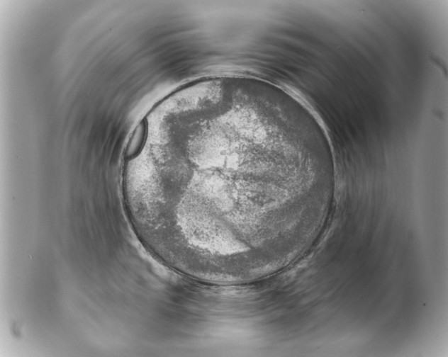 X0000102501437200808291702