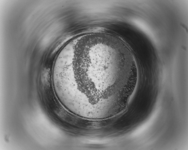 X0000102501438200808291702