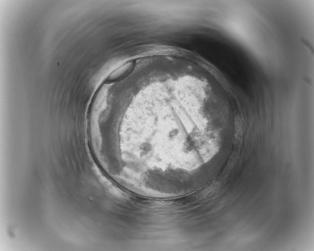 X0000102501439200808291702