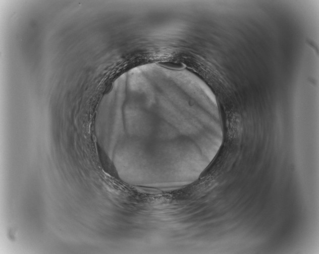 X0000102501441200808291701