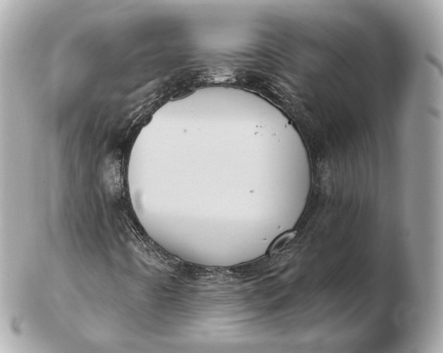 X0000102501442200808291701