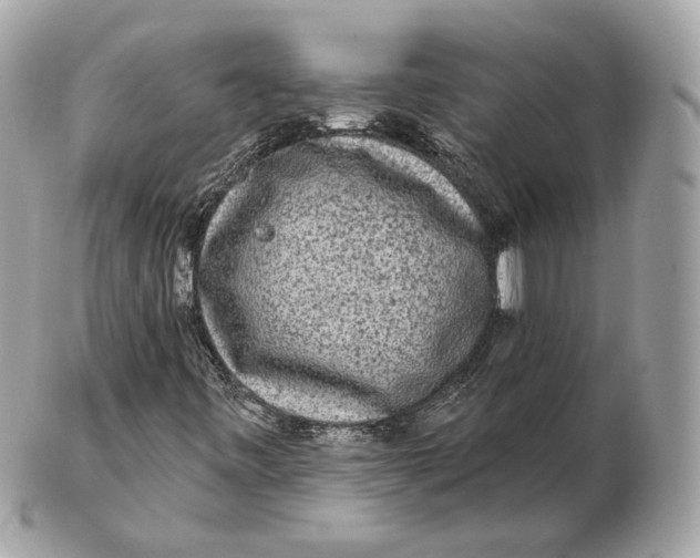 X0000102501443200808291701