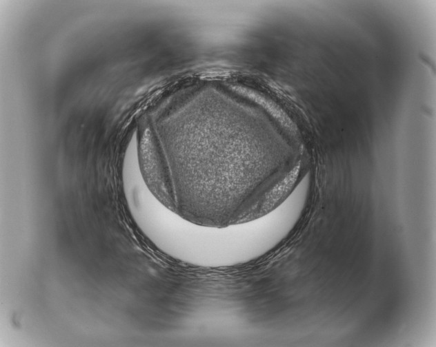 X0000102501445200808291701