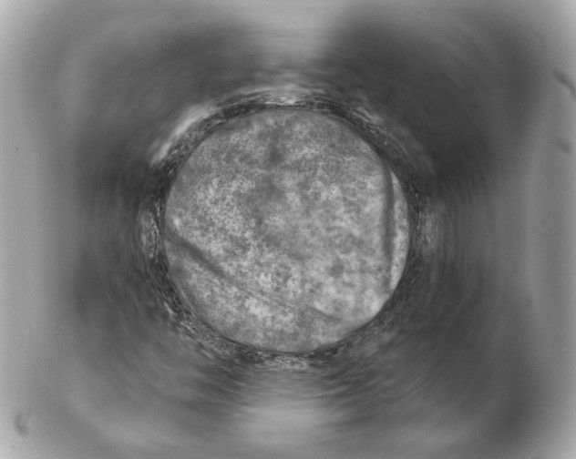 X0000102501446200808291701