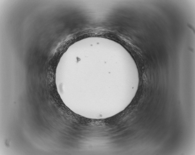 X0000102501447200808291701