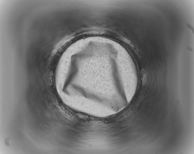 X0000102501448200808291701