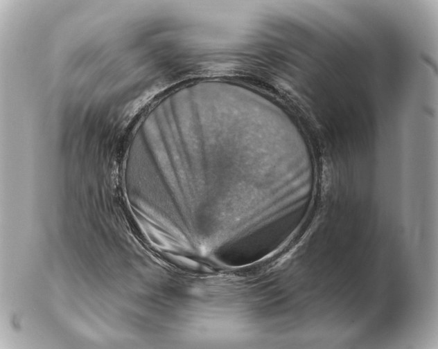 X0000102501449200808291701