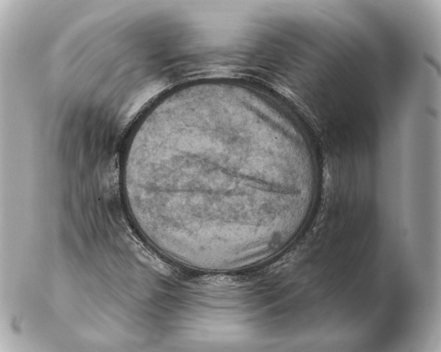 X0000102501450200808291701