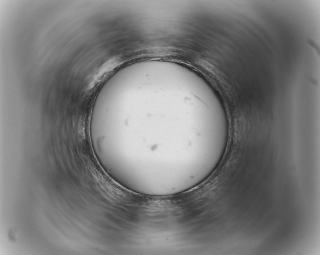 X0000102501451200808291701