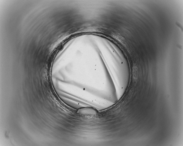 X0000102501452200808291701