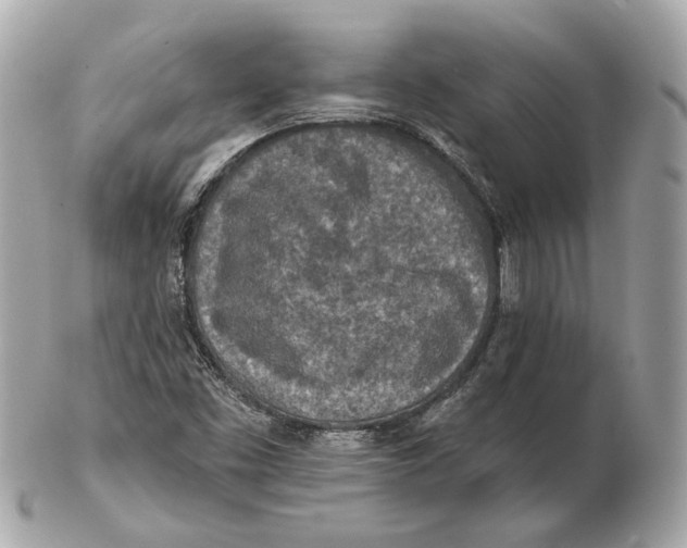 X0000102501453200808291701