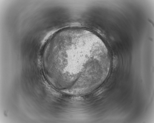 X0000102501454200808291701