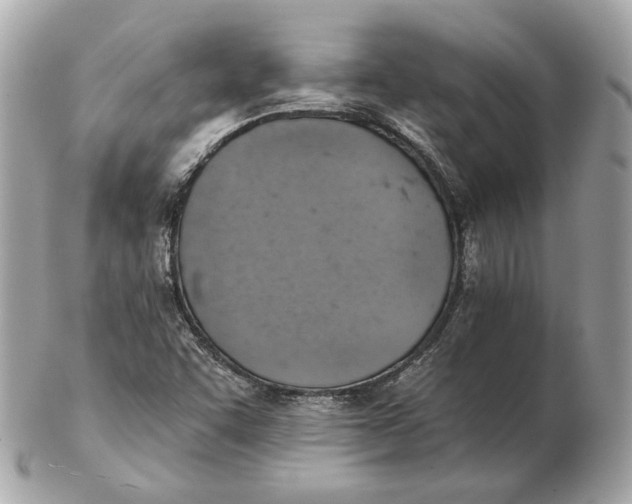 X0000102501455200808291701