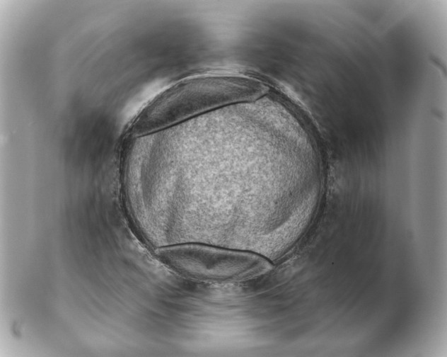 X0000102501456200808291701