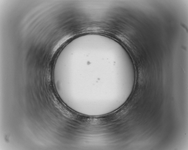 X0000102501458200808291701