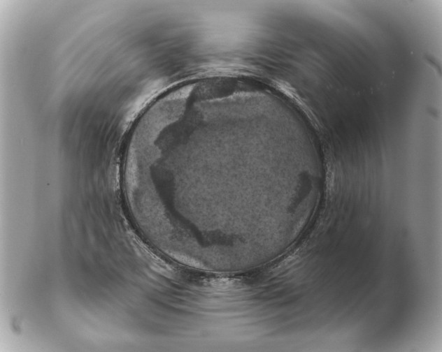 X0000102501459200808291701