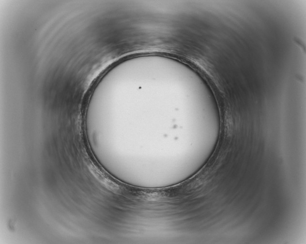 X0000102501460200808291701