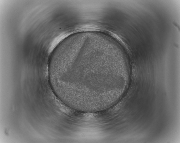 X0000102501461200808291701