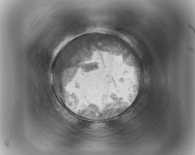 X0000102501462200808291701