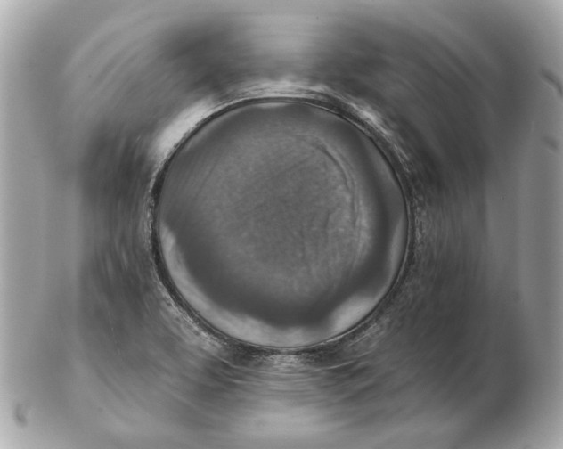 X0000102501463200808291701