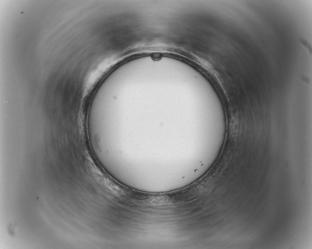 X0000102501464200808291701