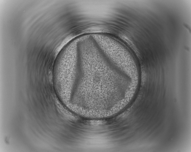 X0000102501465200808291701