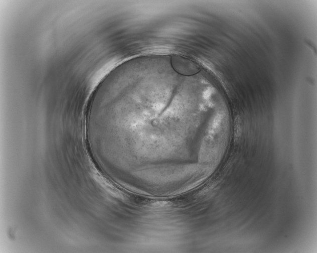 X0000102501467200808291701