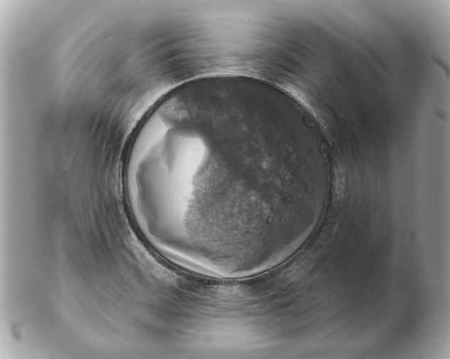 X0000102501468200808291701