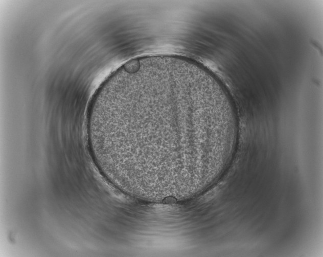 X0000102501469200808291701