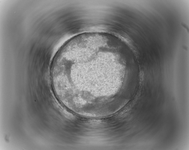 X0000102501470200808291701