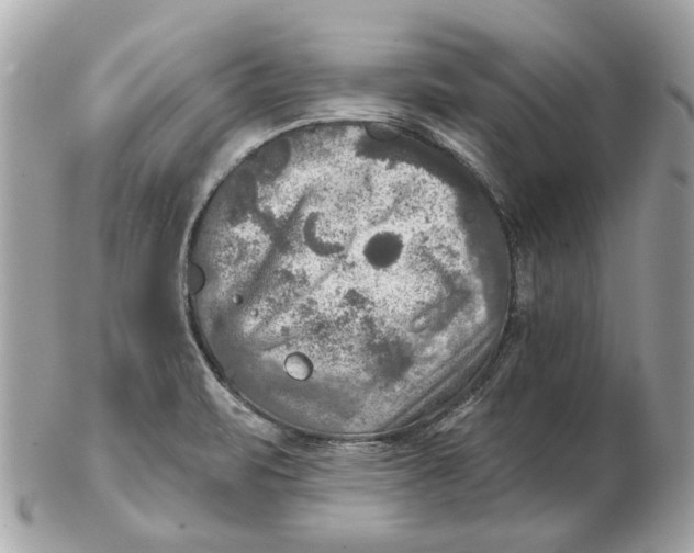 X0000102501471200808291701