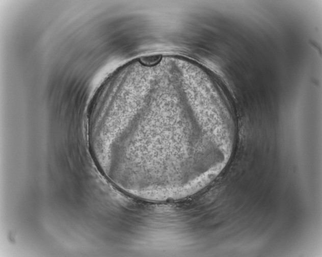 X0000102501472200808291701