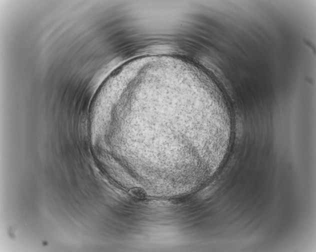 X0000102501473200808291701