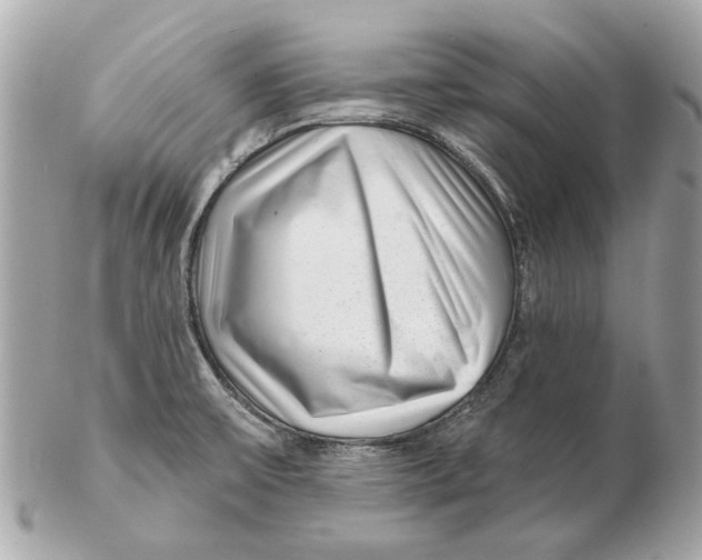 X0000102501475200808291701