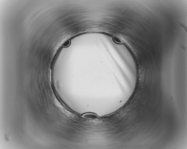 X0000102501476200808291701