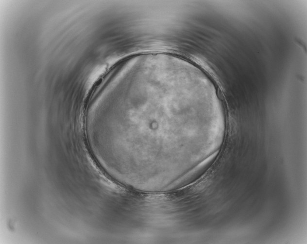 X0000102501477200808291701