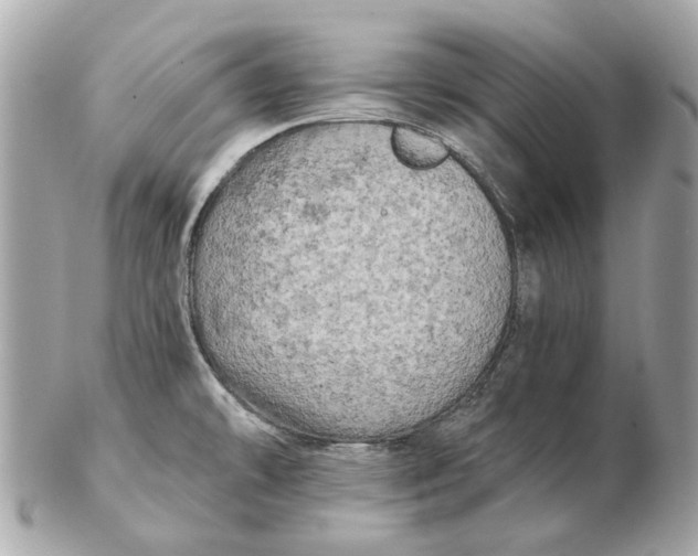 X0000102501478200808291701