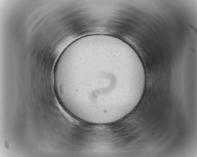 X0000102501479200808291701