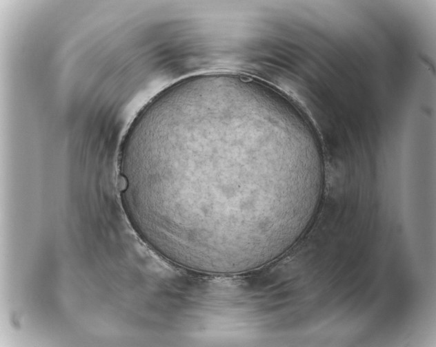 X0000102501480200808291701