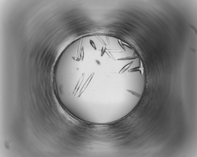 X0000102501483200808291701