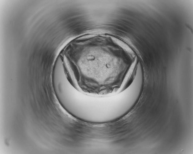 X0000102501484200808291701